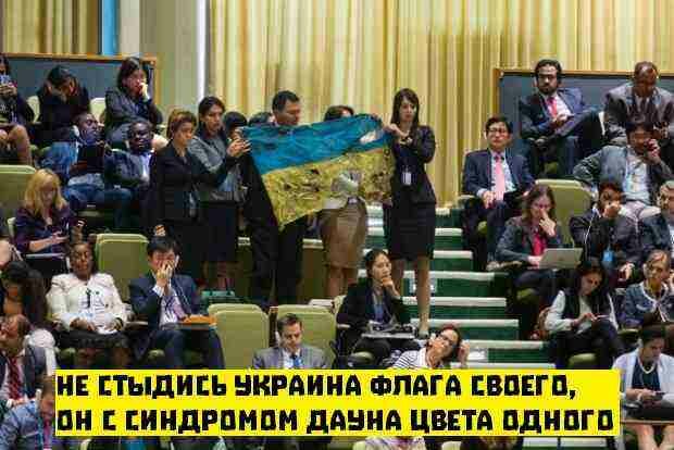 Украинцев с рваным флагом выгнали из ООН